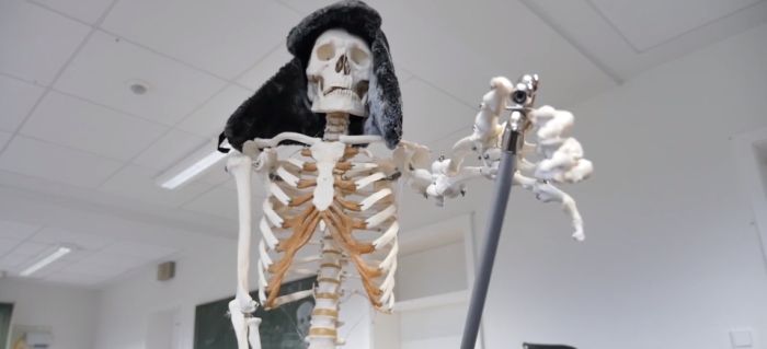 Skelett aus dem Biologieunterricht mit Fellmütze